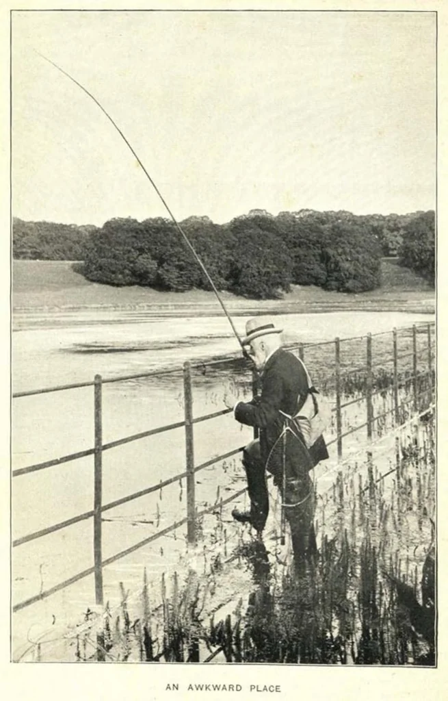An illustration from Pike and Perch, with chapters by ‘John Bickerdyke’ and W. H. Pope; Cookery by Alexander Inns Shand- Fur, Feather and Fin Series, 1900, leaf 46