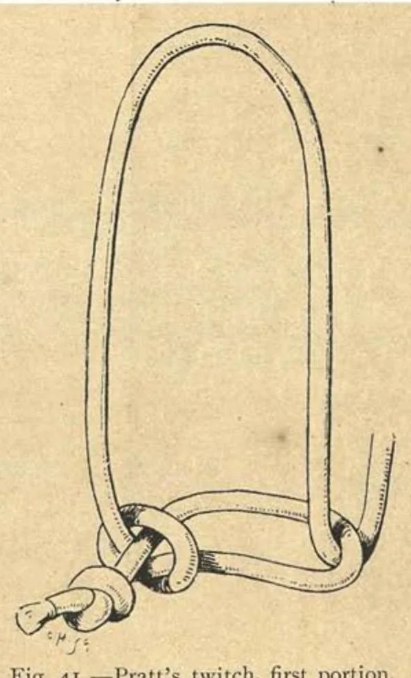An illustration from Illustrated Horse-Breaking, 3rd ed., 1905, leaf 139