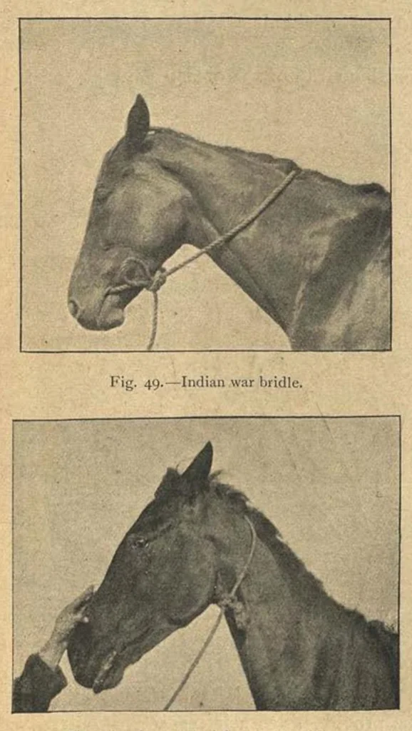 An illustration from Illustrated Horse-Breaking, 3rd ed., 1905, leaf 146