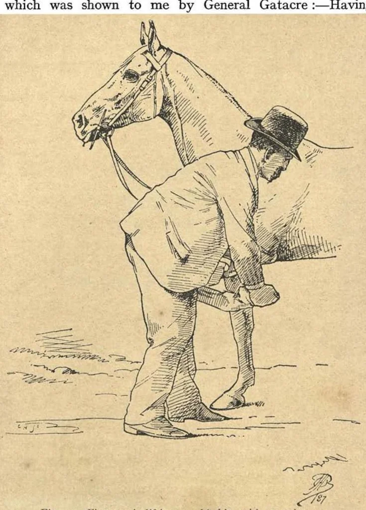 An illustration from Illustrated Horse-Breaking, 3rd ed., 1905, leaf 155