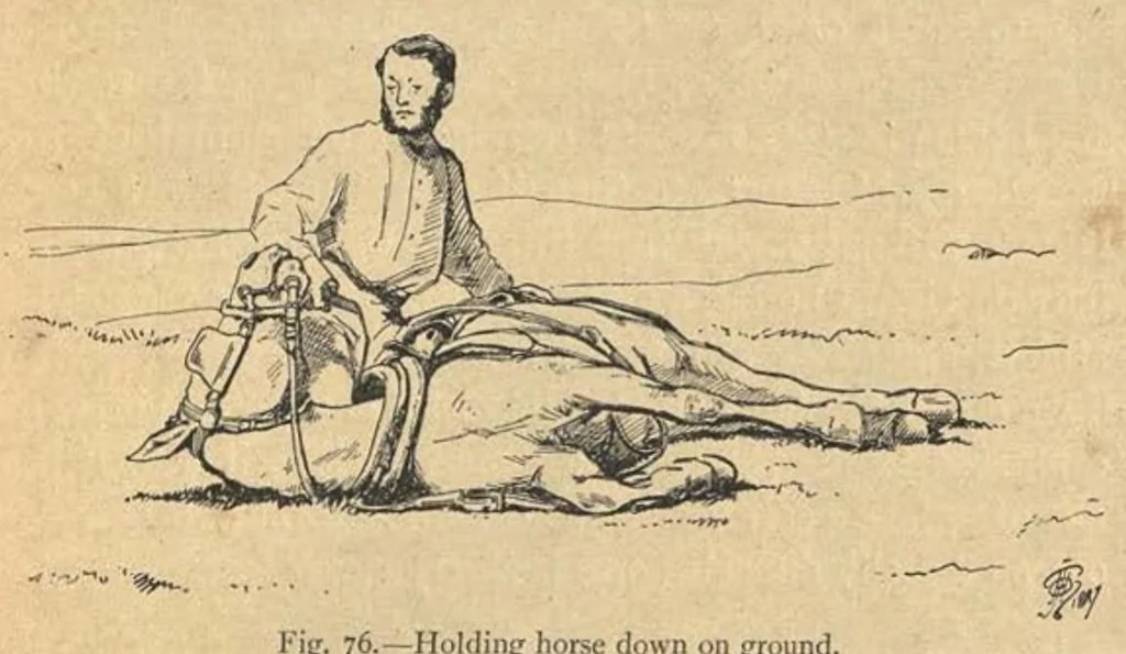 An illustration from Illustrated Horse-Breaking, 3rd ed., 1905, leaf 170