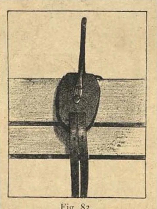 An illustration from Illustrated Horse-Breaking, 3rd ed., 1905, leaf 192