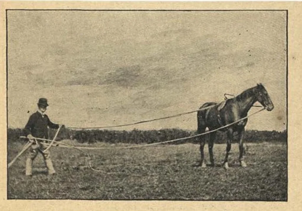 An illustration from Illustrated Horse-Breaking, 3rd ed., 1905, leaf 200