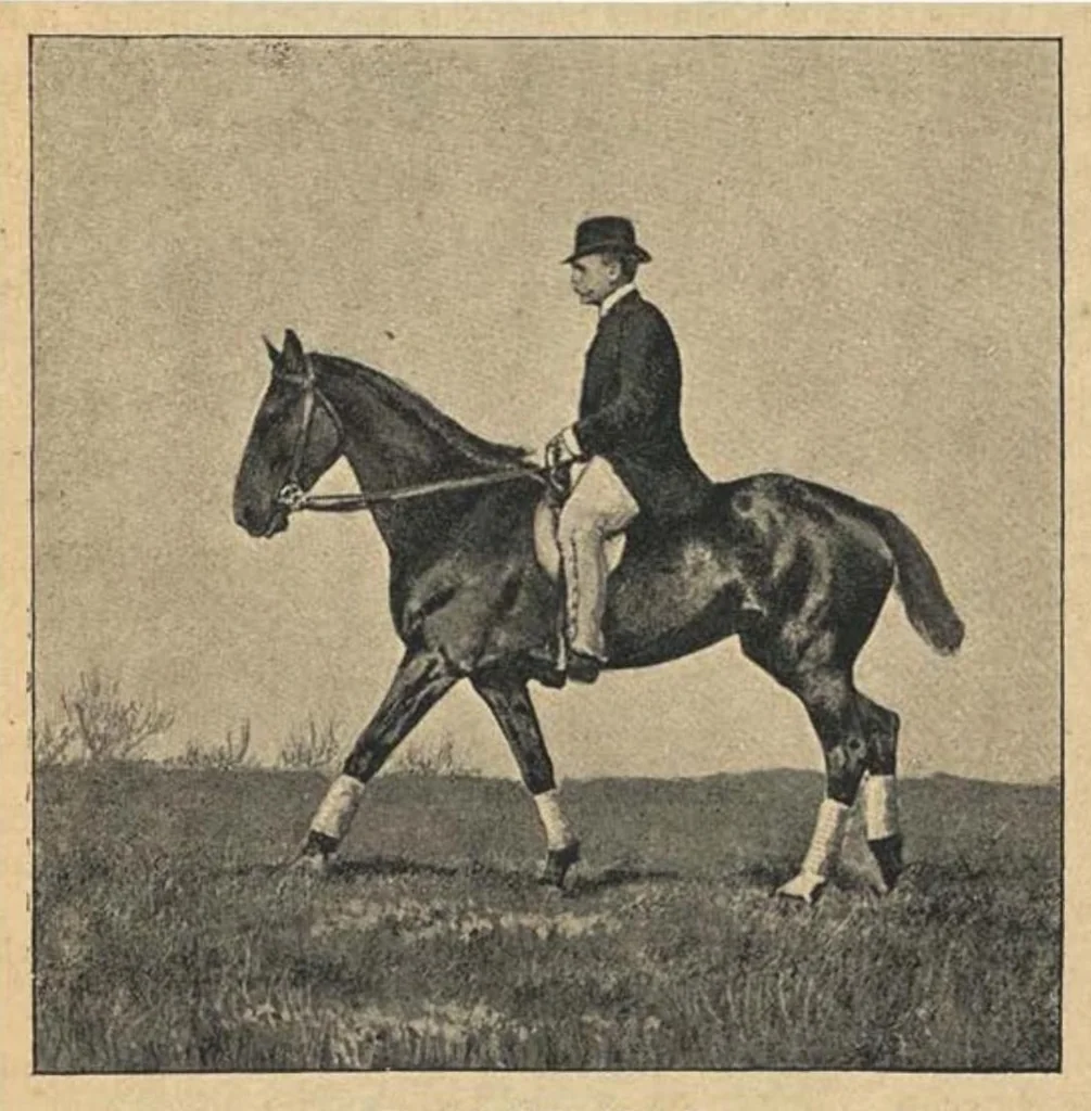 An illustration from Illustrated Horse-Breaking, 3rd ed., 1905, leaf 94
