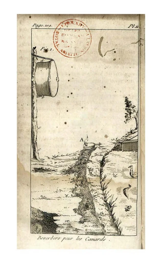 An illustration from Aviceptologie Francaise, 1818, leaf 101