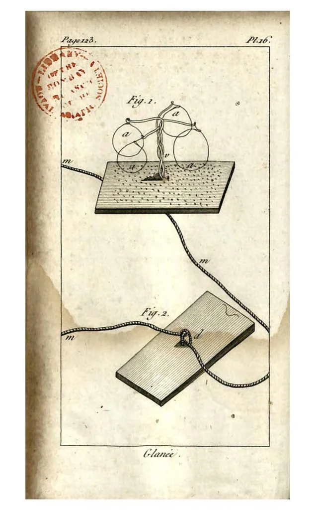 An illustration from Aviceptologie Francaise, 1818, leaf 131