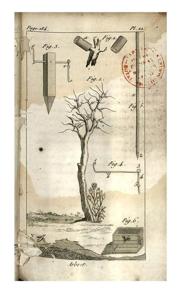 An illustration from Aviceptologie Francaise, 1818, leaf 200