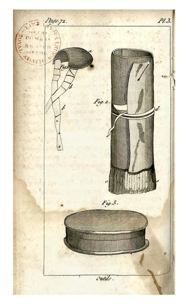 An illustration from Aviceptologie Francaise, 1818, leaf 55