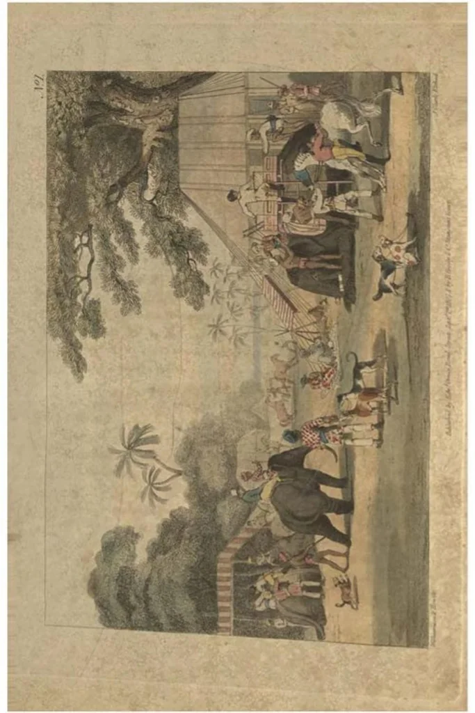 An illustration from Oriental Field Sports; being a complete, detailed and Accurate Description of the Wild Sports of the East; and exhibiting, in a novel and Interesting Manner, the Natural History of the Elephant, the Rhinoceros, the Tiger, the Leopard, the Bear, the Deer, the Buffalo, the Wolf, the Wild Hog, the Jackall, the Wild Dog, the Civet, and Other Undomesticated Animals, as likewise the Different Species of Feathered Game, Fishes and Serpents; the whole interspersed with a Variety of Original, Authentic and Curious Anecdotes, taken from the Manuscript and Designs of Captain Thomas Williamson, who served upward of Twenty years in Bengal, in Two Volumes, 2nd ed., Vol. I, 1819, leaf 23