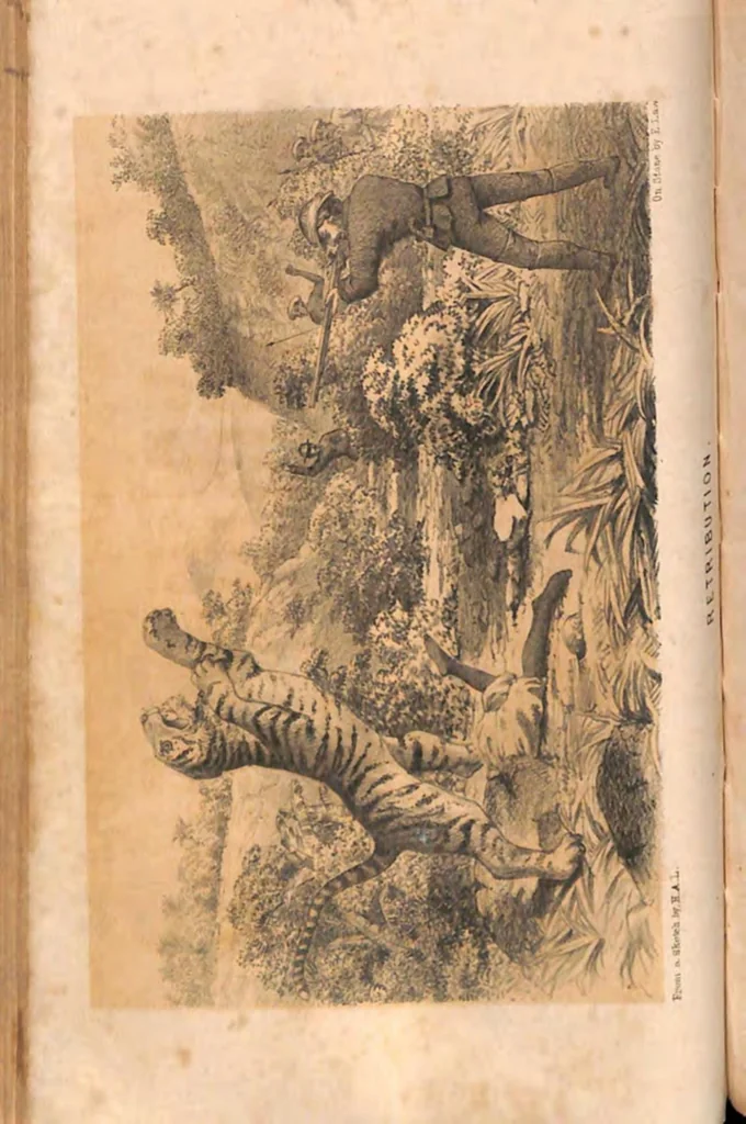 An illustration from The Hunting Grounds of the Old World, 1st Series, 2nd ed., 1860, leaf 343