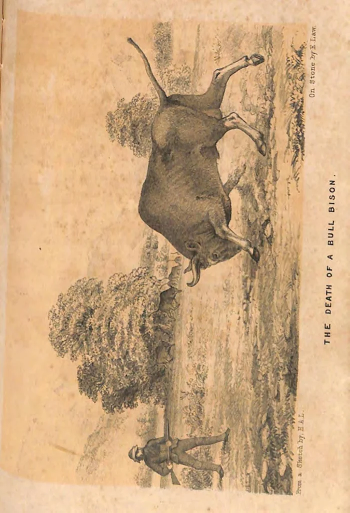 An illustration from The Hunting Grounds of the Old World, 1st Series, 2nd ed., 1860, leaf 362
