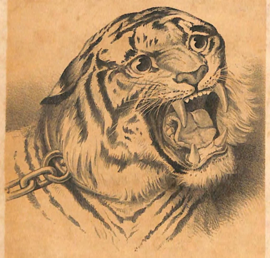 An illustration from The Hunting Grounds of the Old World, 1st Series, 2nd ed., 1860, leaf 5