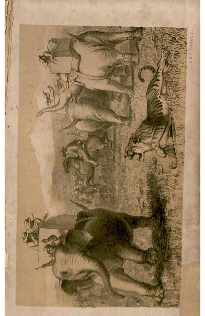 An illustration from Hunting in the Himalaya; with Notices of Customs and Countries from the Elephant Haunts of the Dehra Doon, to the Bunchowr Tracks in Eternal Snow, 1860, leaf 124