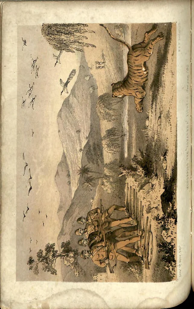 An illustration from Tiger-Shooting in India; being an Account of Hunting Experiences on Foot in Rajpootana, during the Hot Seasons from 1850 to 1854, 1857, leaf 223
