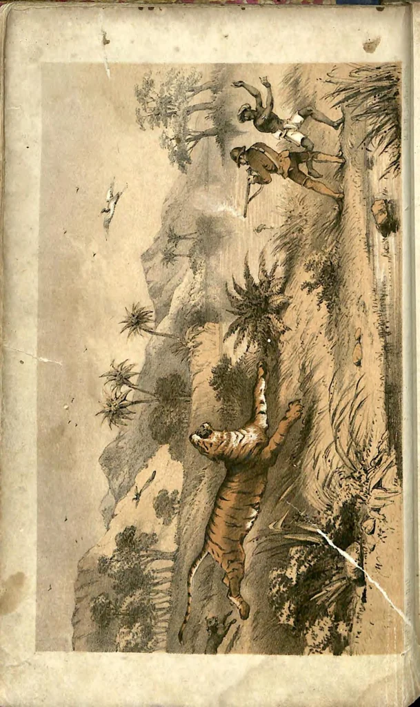 An illustration from Tiger-Shooting in India; being an Account of Hunting Experiences on Foot in Rajpootana, during the Hot Seasons from 1850 to 1854, 1857, leaf 31
