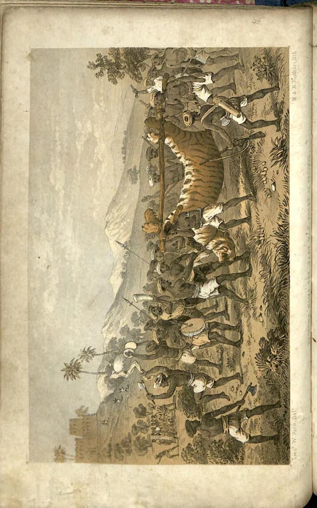 An illustration from Tiger-Shooting in India; being an Account of Hunting Experiences on Foot in Rajpootana, during the Hot Seasons from 1850 to 1854, 1857, leaf 73