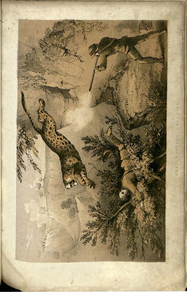 An illustration from Tiger-Shooting in India; being an Account of Hunting Experiences on Foot in Rajpootana, during the Hot Seasons from 1850 to 1854, 1857, leaf 78