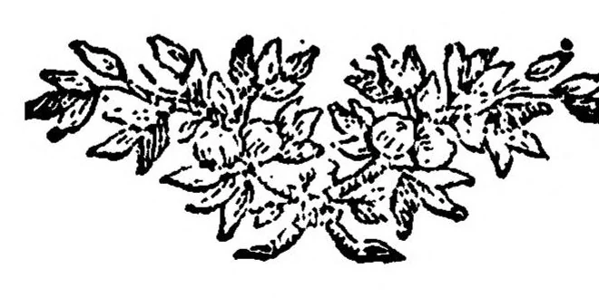 An illustration from Theoria Motuum Planetarum et Cometarum; continens methodum facilem ex aliquot observationibus orbitas cum planetarum tum cometarum determinandi, una cum calculo, quo cometae, qui annis 1680 et 1681, itemque ejus, qui nuper est visus, motus verus investgatur, 1744, leaf 139