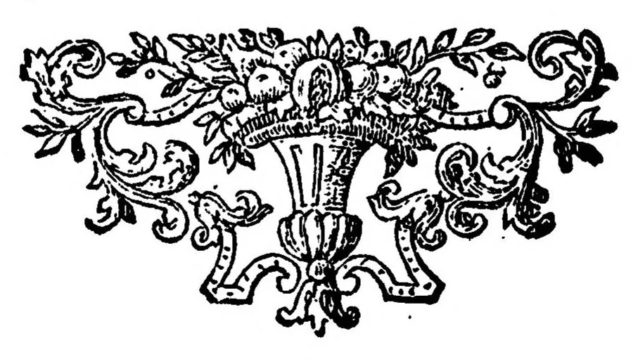 An illustration from Theoria Motuum Planetarum et Cometarum; continens methodum facilem ex aliquot observationibus orbitas cum planetarum tum cometarum determinandi, una cum calculo, quo cometae, qui annis 1680 et 1681, itemque ejus, qui nuper est visus, motus verus investgatur, 1744, leaf 197