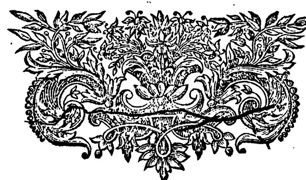 An illustration from Theoria Motuum Planetarum et Cometarum; continens methodum facilem ex aliquot observationibus orbitas cum planetarum tum cometarum determinandi, una cum calculo, quo cometae, qui annis 1680 et 1681, itemque ejus, qui nuper est visus, motus verus investgatur, 1744, leaf 63