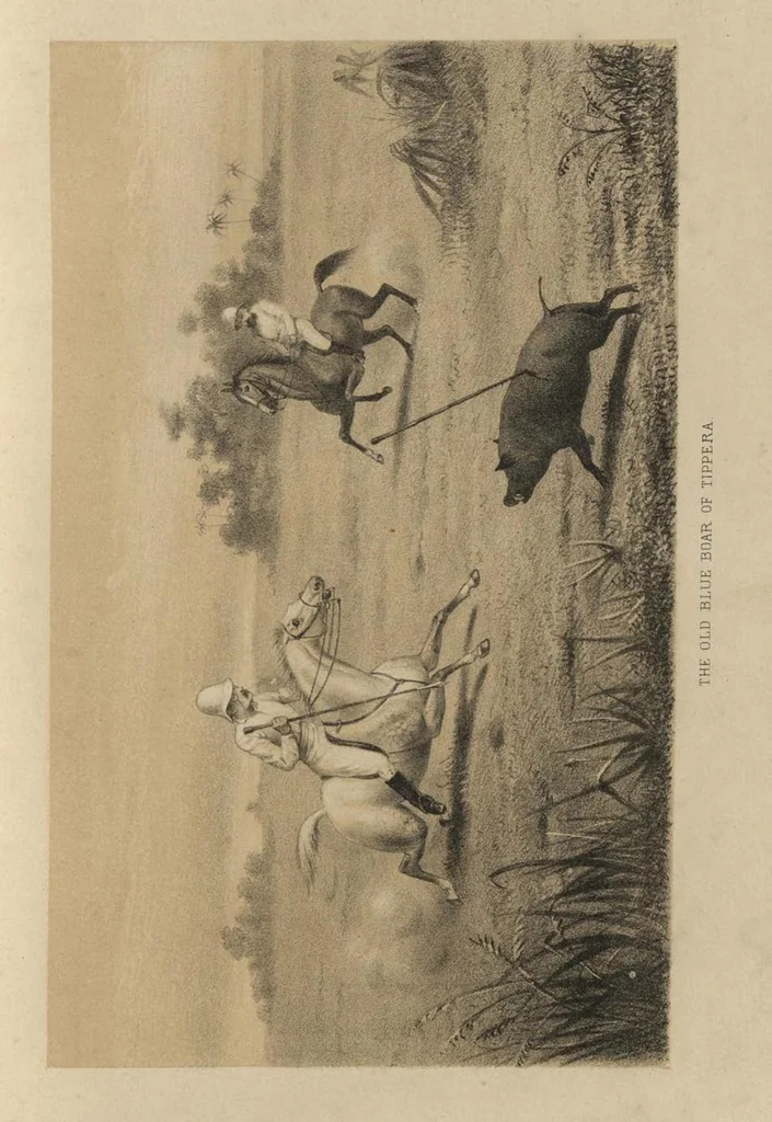 An illustration from Letters on Sport in Eastern Bengal, 1886, leaf 52