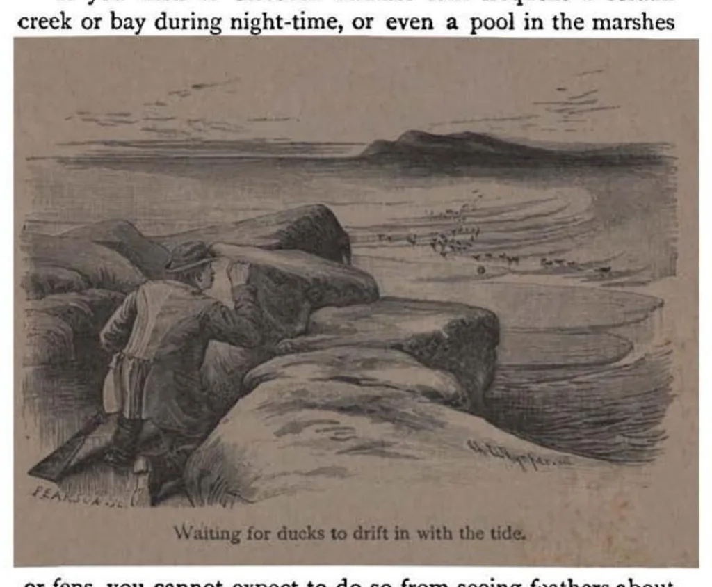 An illustration from Shooting, Moor and Marsh, 4th ed. (the Badminton Library of Sports and Pastimes), 1893, leaf 260