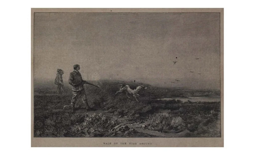 An illustration from Shooting, Moor and Marsh, 4th ed. (the Badminton Library of Sports and Pastimes), 1893, leaf 28