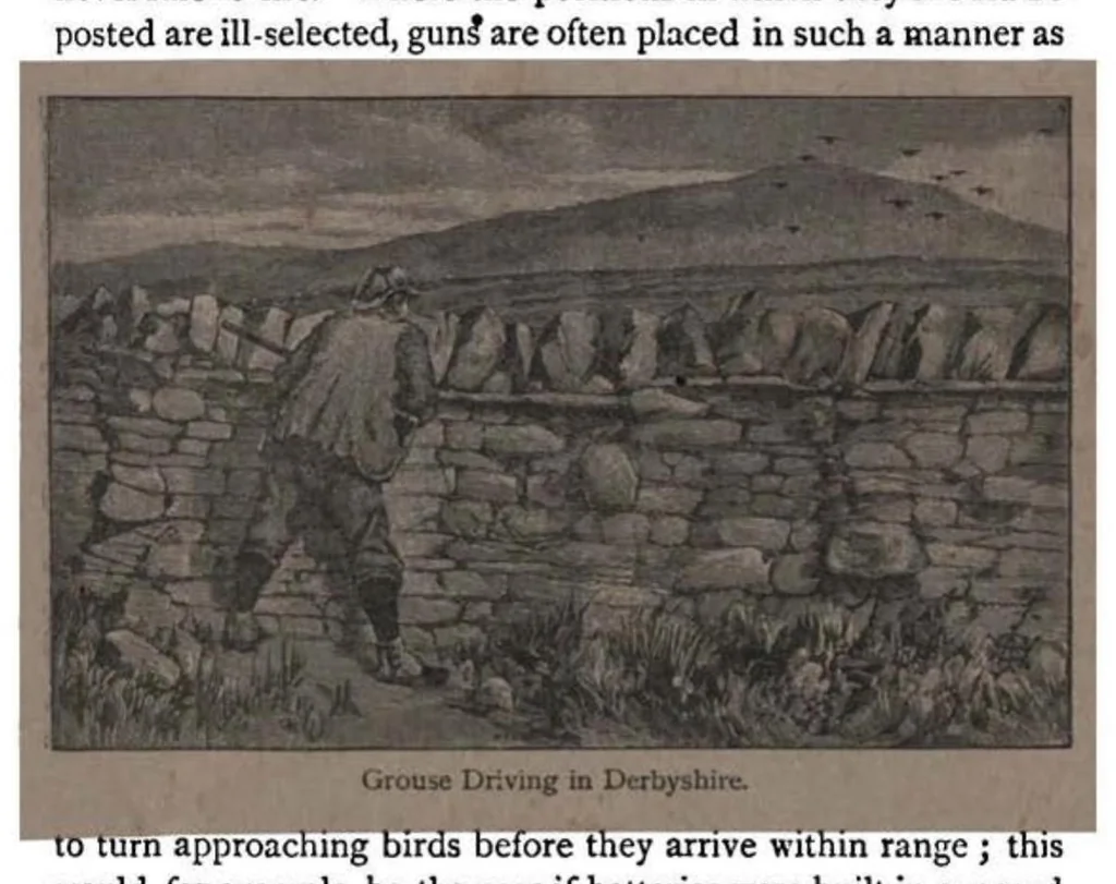 An illustration from Shooting, Moor and Marsh, 4th ed. (the Badminton Library of Sports and Pastimes), 1893, leaf 40