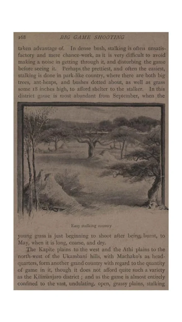 An illustration from Big Game Shooting, 2nd ed., Vol. I (the Badminton Library of Sports and Pastimes), 1895, leaf 203