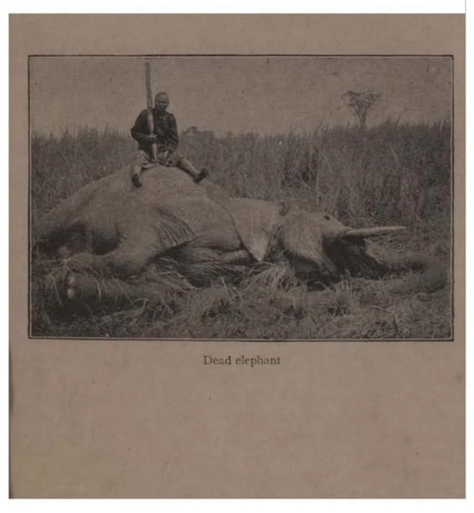 An illustration from Big Game Shooting, 2nd ed., Vol. I (the Badminton Library of Sports and Pastimes), 1895, leaf 254