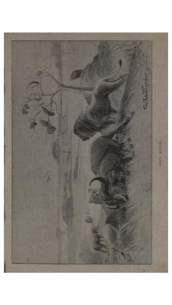 An illustration from Big Game Shooting, 2nd ed., Vol. I (the Badminton Library of Sports and Pastimes), 1895, leaf 286