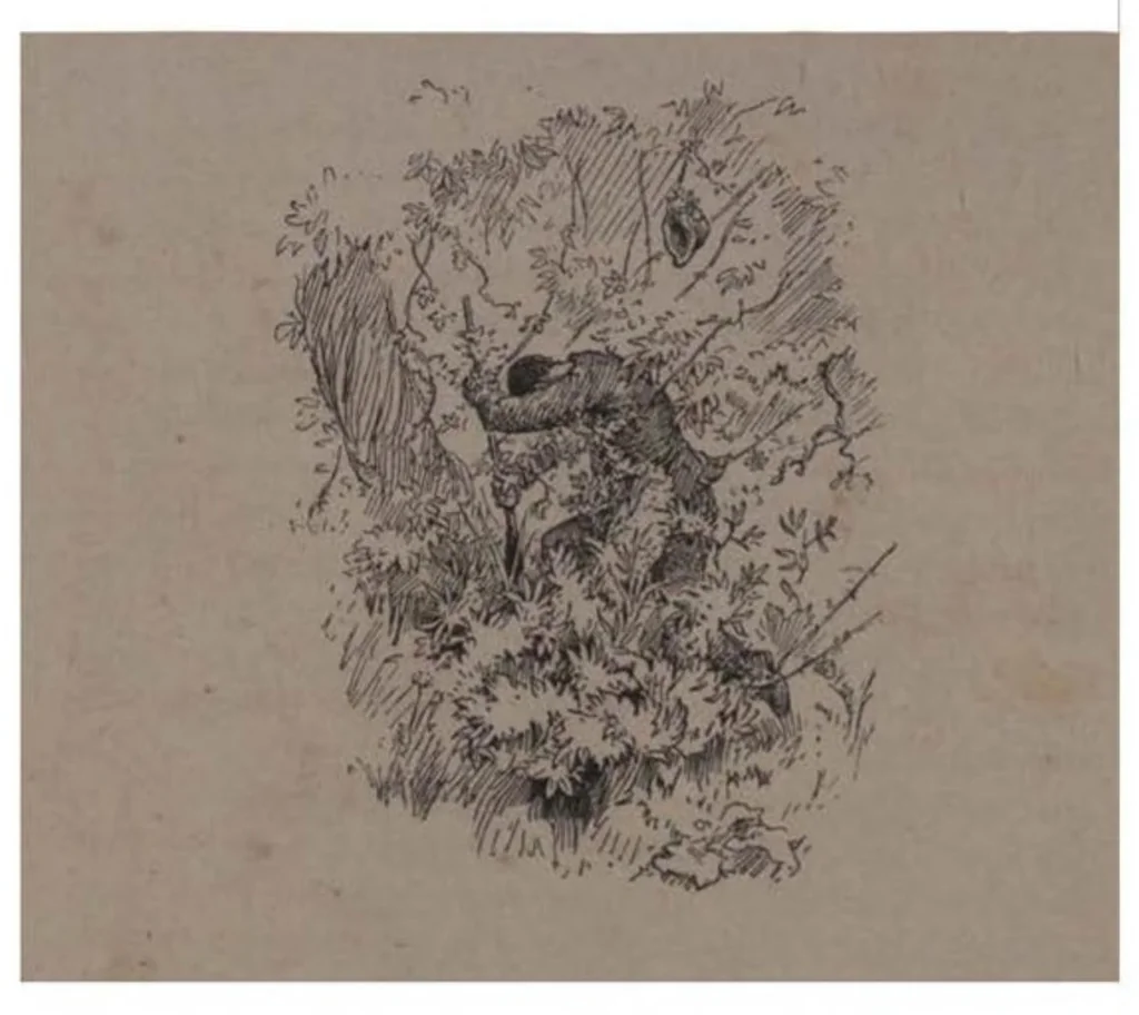 An illustration from Big Game Shooting, 2nd ed., Vol. I (the Badminton Library of Sports and Pastimes), 1895, leaf 46
