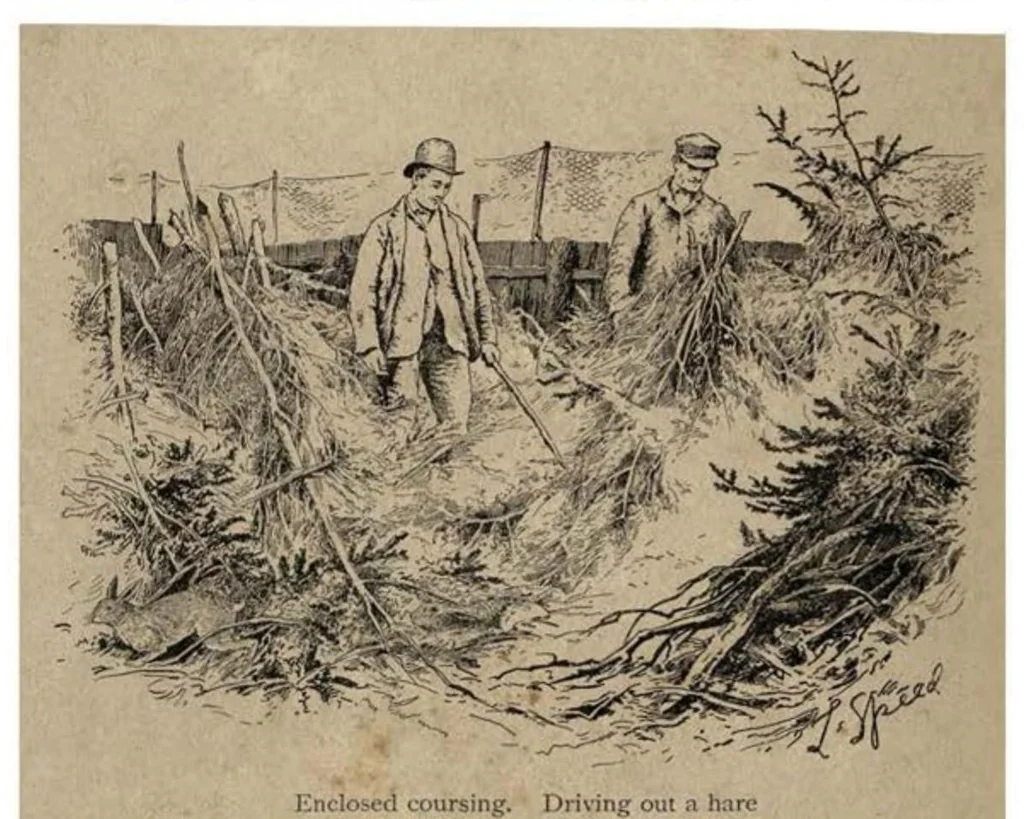 An illustration from Coursing and Falconry (the Badminton Library of Sports and Pastimes), 1892, leaf 117