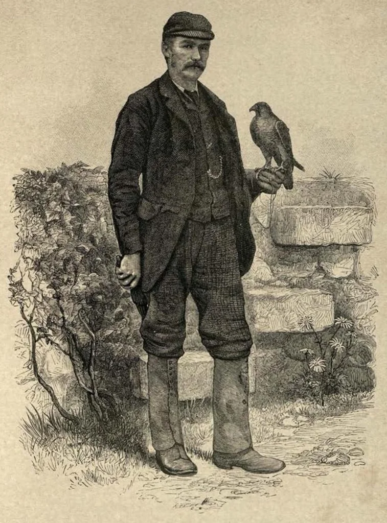 An illustration from Coursing and Falconry (the Badminton Library of Sports and Pastimes), 1892, leaf 384