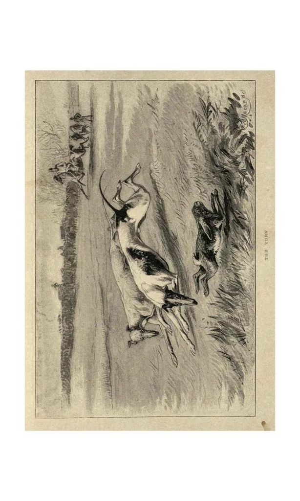An illustration from Coursing and Falconry (the Badminton Library of Sports and Pastimes), 1892, leaf 48