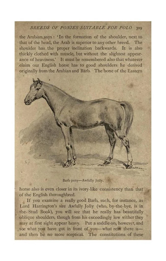 An illustration from Riding; Polo (the Badminton Library of Sports and Pastimes), 1891, leaf 346