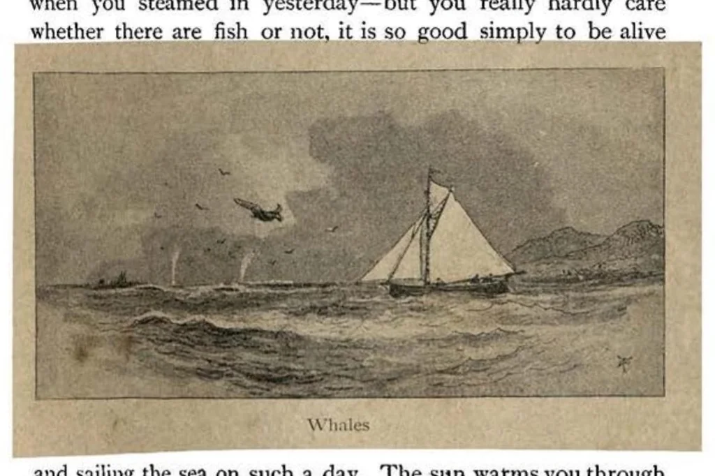 An illustration from Yachting, in Two Volumes, Vol. I, 1894, leaf 230