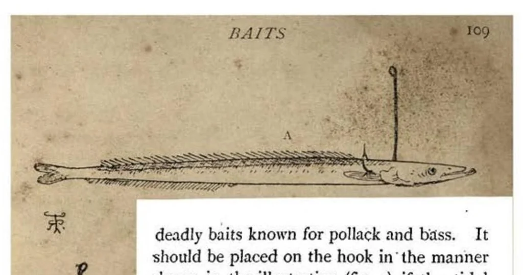 An illustration from Sea Fishing (the Badminton Library of Sports and Pastimes), 1895, leaf 136