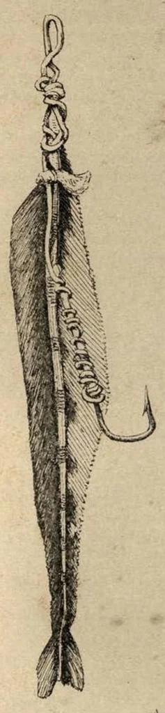 An illustration from Sea Fishing (the Badminton Library of Sports and Pastimes), 1895, leaf 146