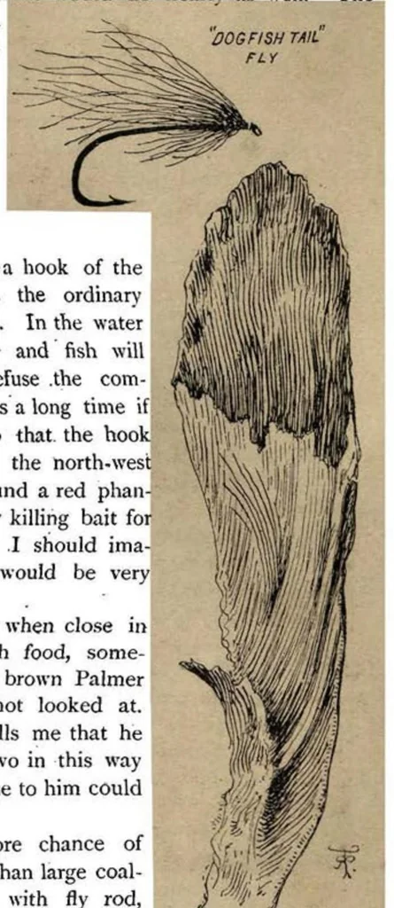 An illustration from Sea Fishing (the Badminton Library of Sports and Pastimes), 1895, leaf 171