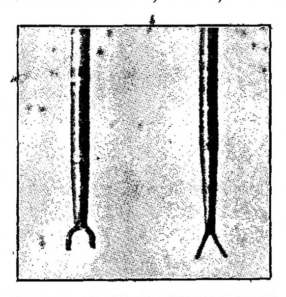 An illustration from Rowing; Punting (the Badminton Library of Sports and Pastimes), 1898, leaf 301