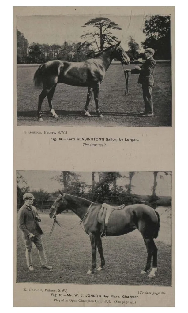 An illustration from Polo, 1898, leaf 118