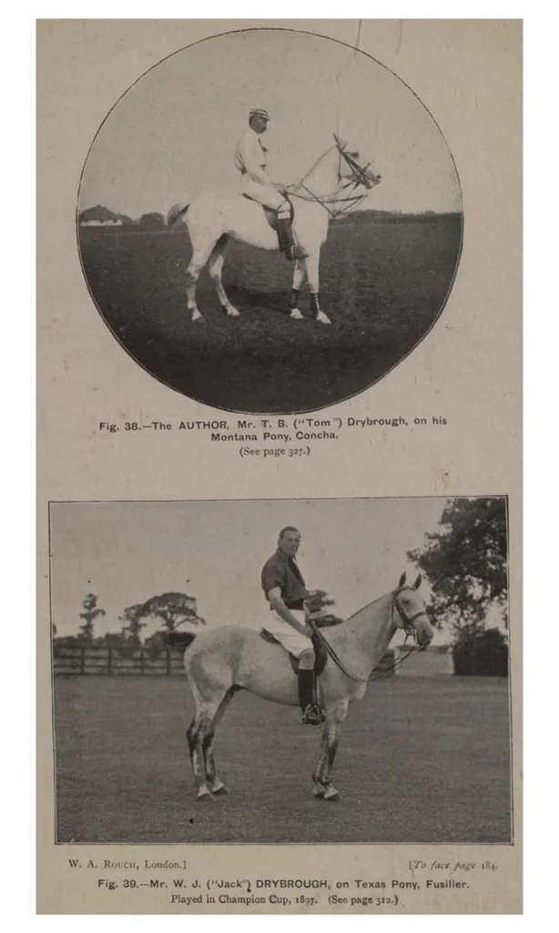 An illustration from Polo, 1898, leaf 238