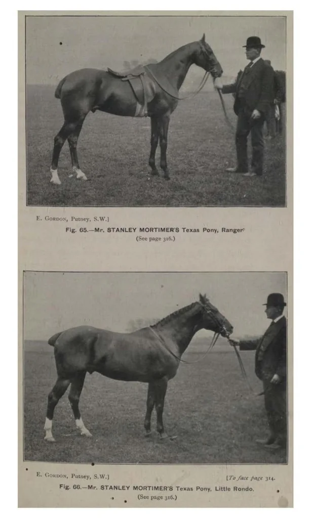 An illustration from Polo, 1898, leaf 396