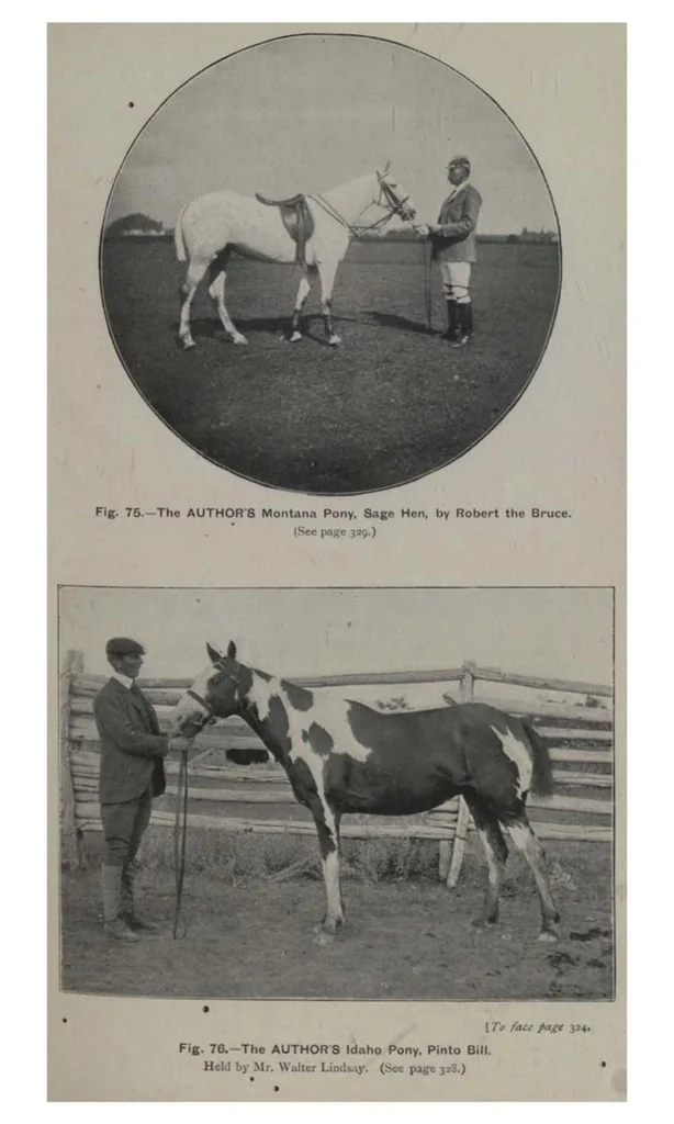 An illustration from Polo, 1898, leaf 416