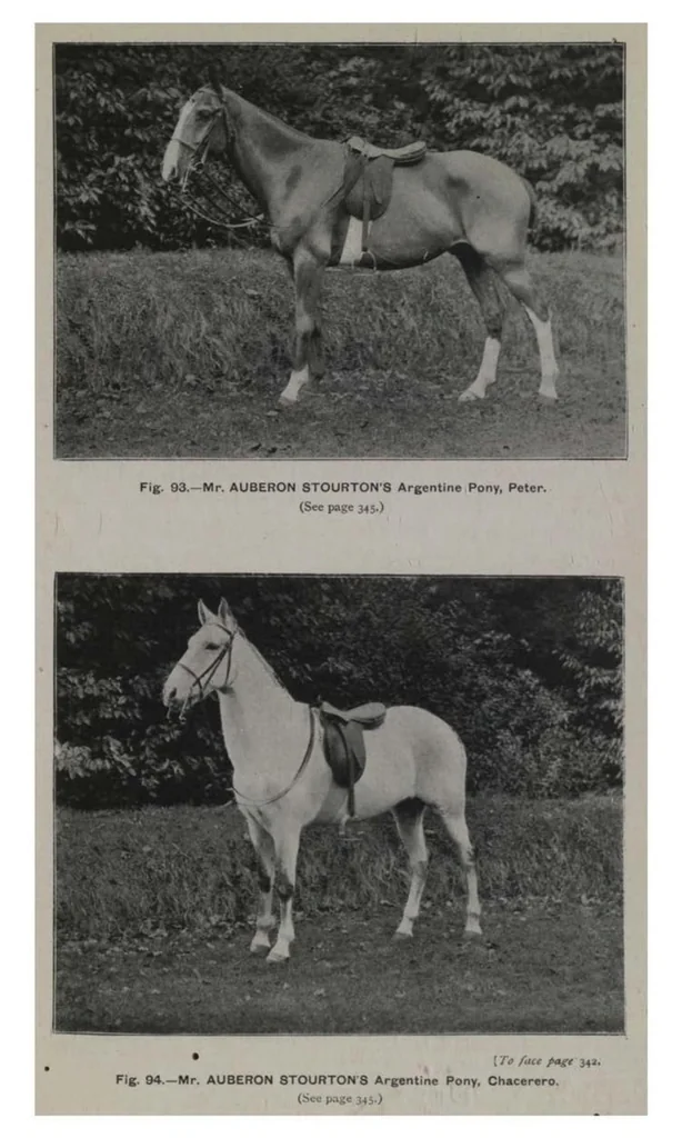 An illustration from Polo, 1898, leaf 452