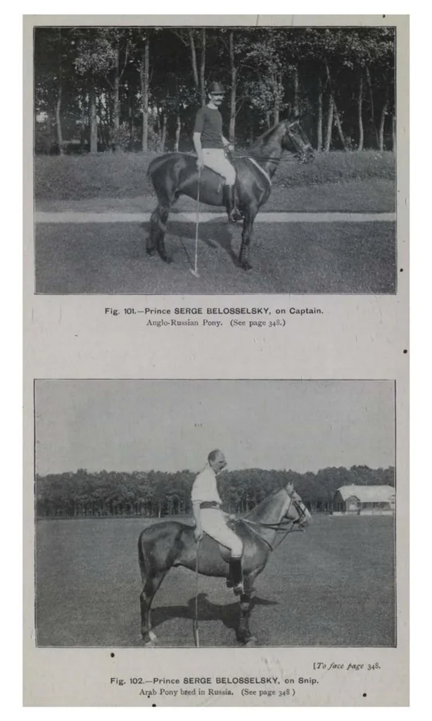 An illustration from Polo, 1898, leaf 466