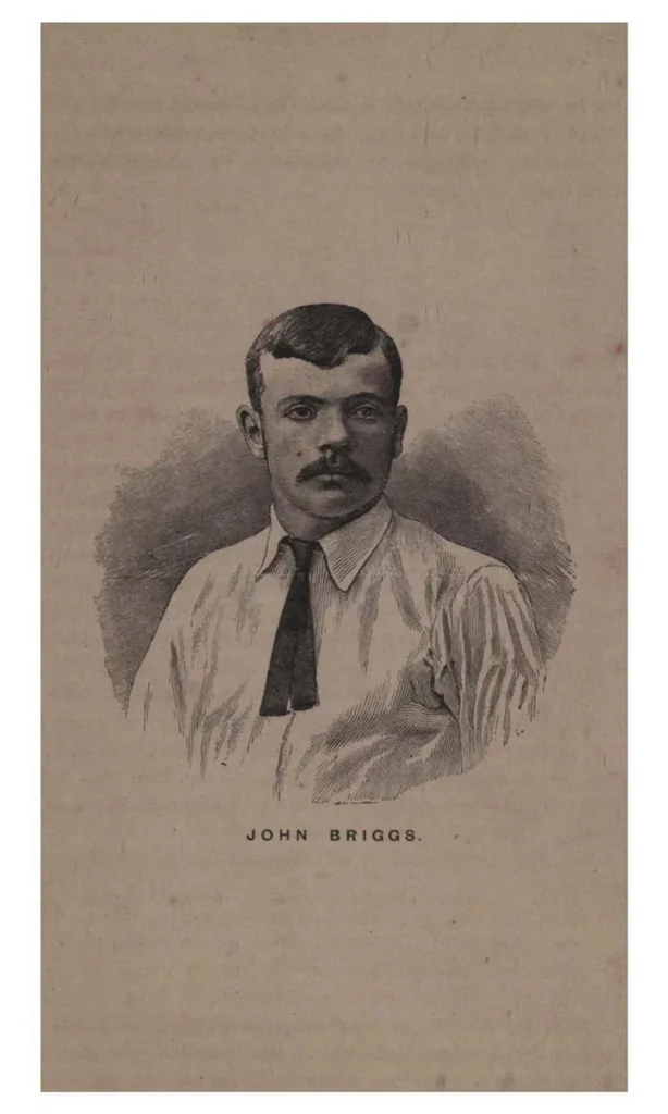An illustration from Cricket, 1891, leaf 294