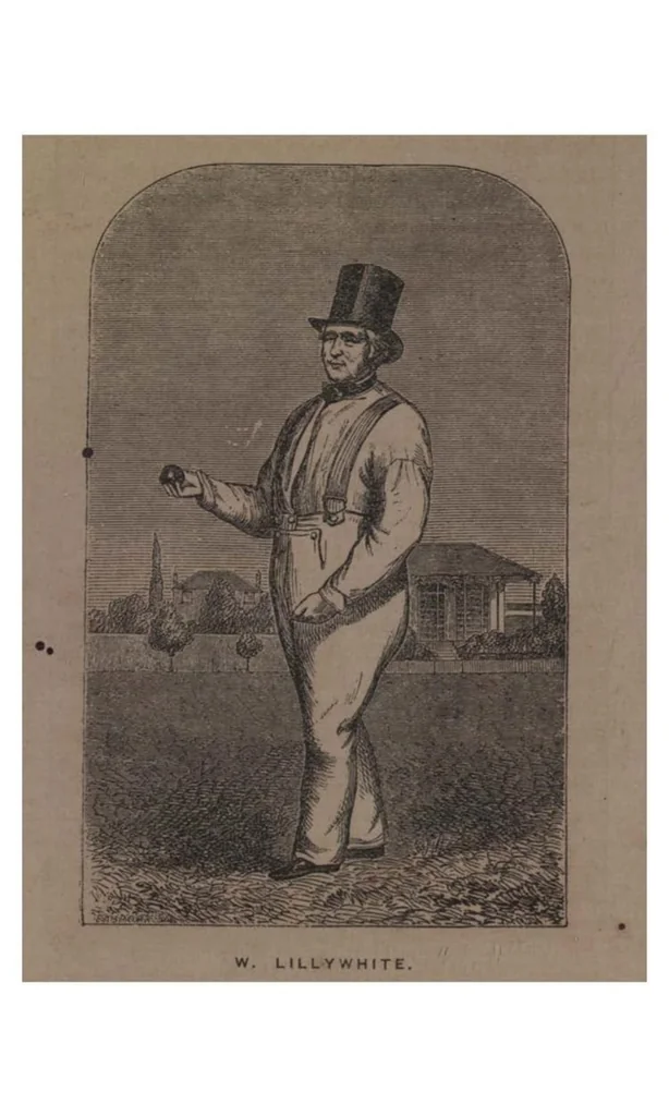An illustration from Cricket, 1891, leaf 37