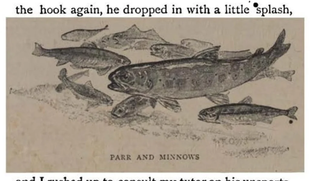 An illustration from Angling Sketches, New ed., 1895, leaf 31